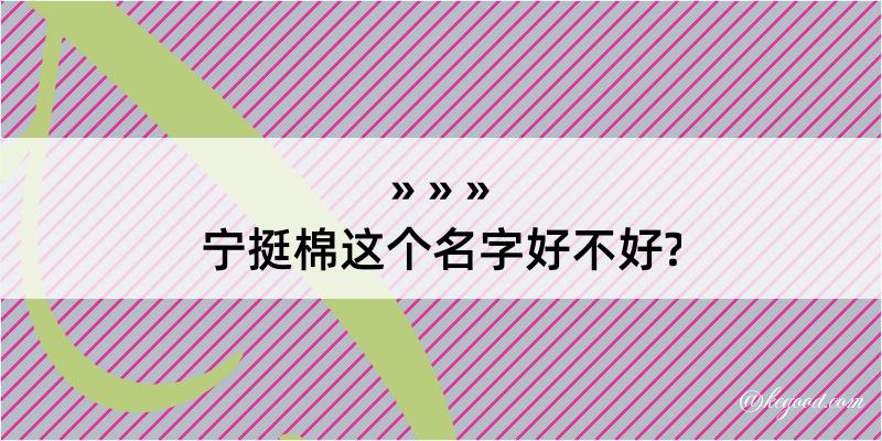 宁挺棉这个名字好不好?