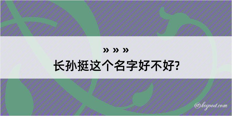 长孙挺这个名字好不好?