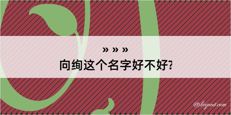 向绚这个名字好不好?