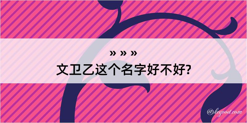 文卫乙这个名字好不好?