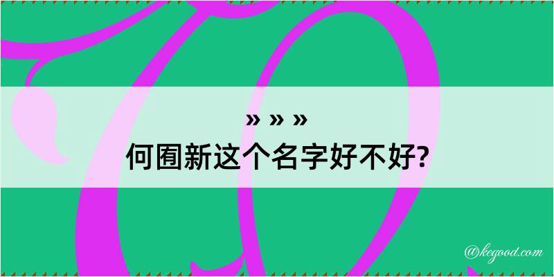 何囿新这个名字好不好?