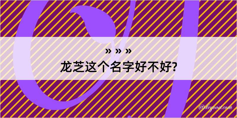 龙芝这个名字好不好?