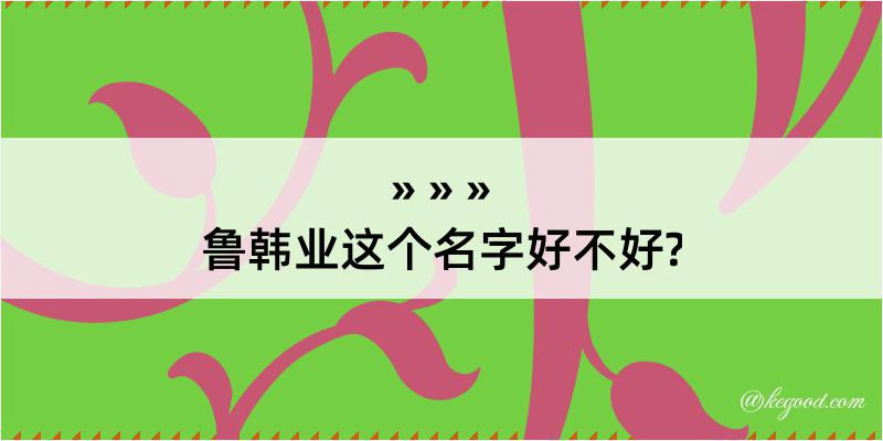 鲁韩业这个名字好不好?