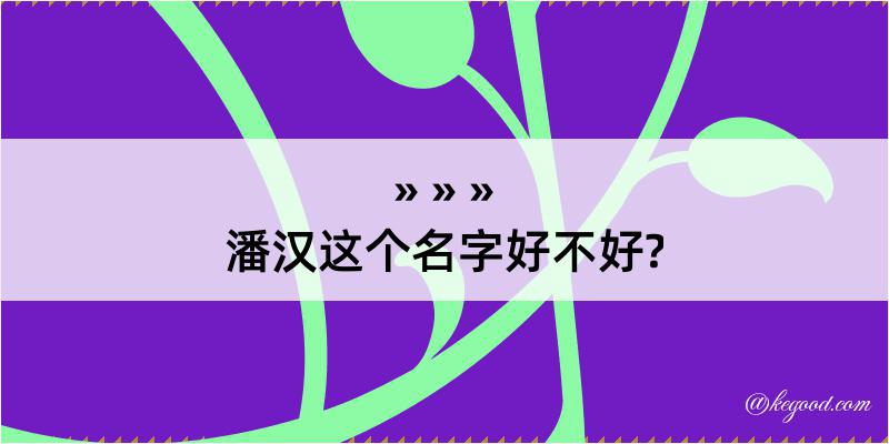 潘汉这个名字好不好?