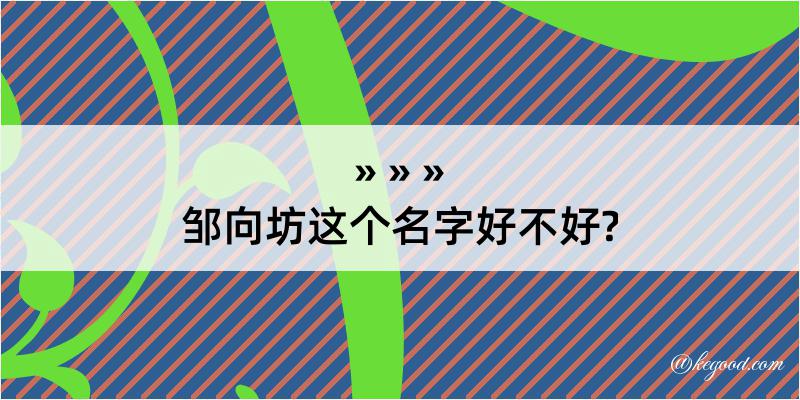 邹向坊这个名字好不好?