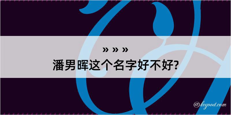 潘男晖这个名字好不好?