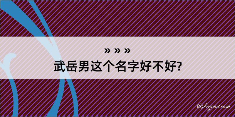 武岳男这个名字好不好?