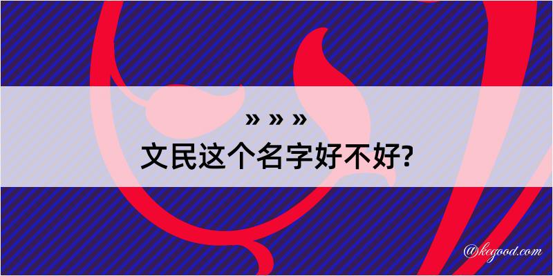 文民这个名字好不好?