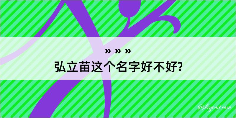 弘立苗这个名字好不好?