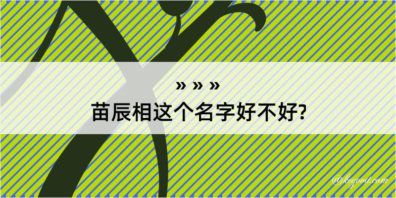 苗辰相这个名字好不好?