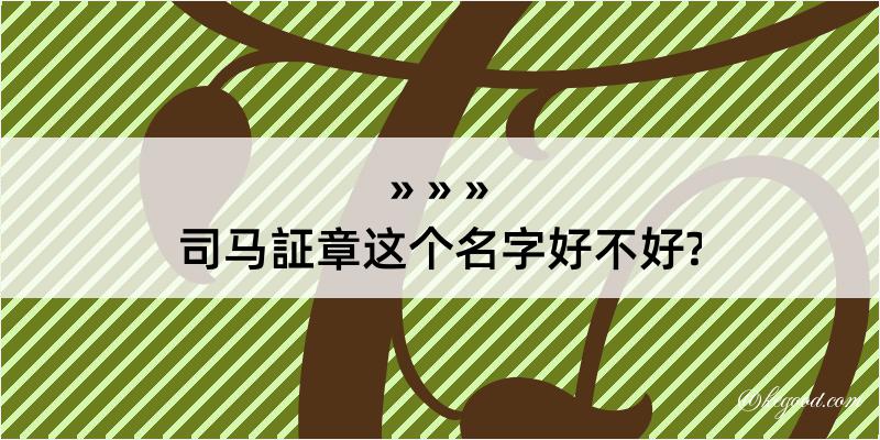 司马証章这个名字好不好?