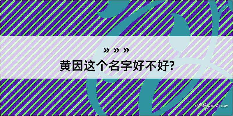 黄因这个名字好不好?