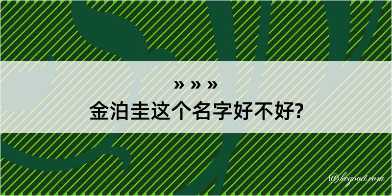 金泊圭这个名字好不好?