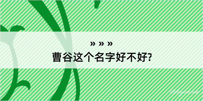 曹谷这个名字好不好?