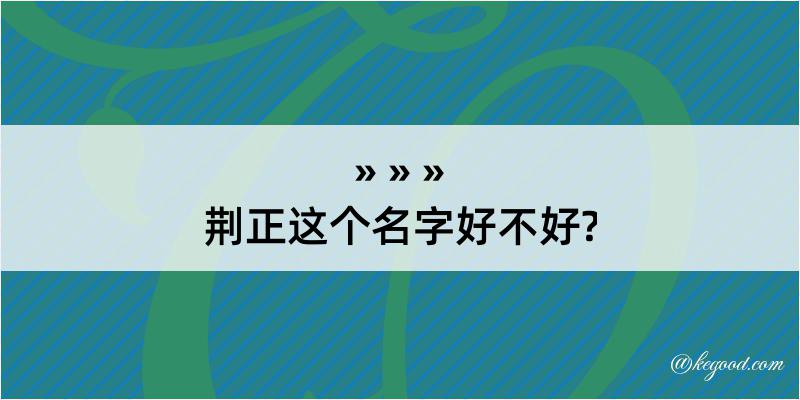 荆正这个名字好不好?