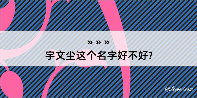 宇文尘这个名字好不好?