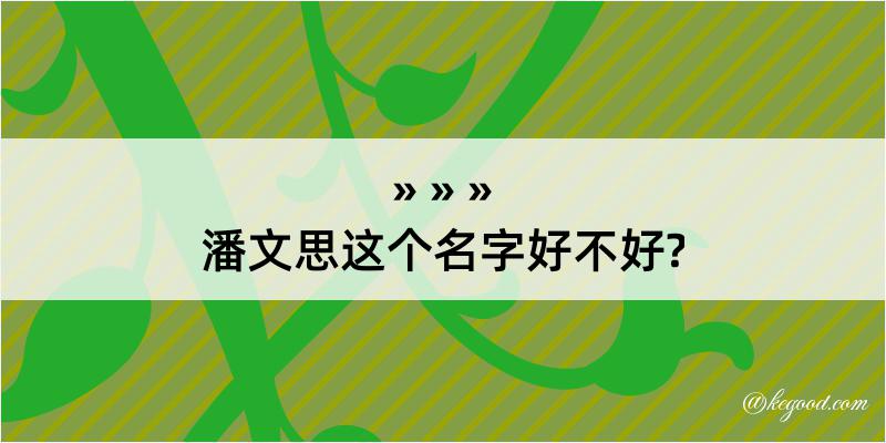 潘文思这个名字好不好?