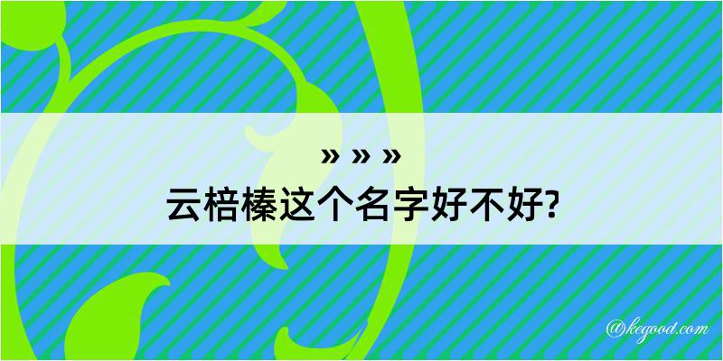 云棓榛这个名字好不好?