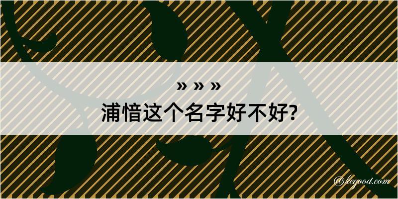 浦愔这个名字好不好?