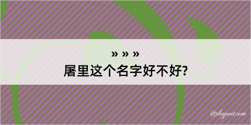 屠里这个名字好不好?