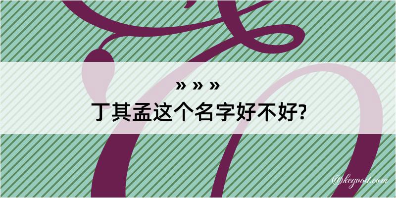 丁其孟这个名字好不好?