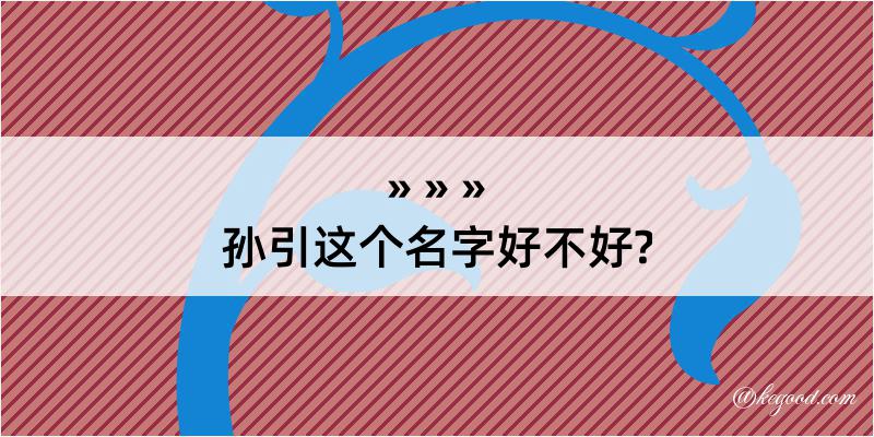 孙引这个名字好不好?