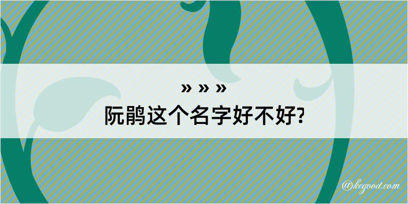 阮鹃这个名字好不好?