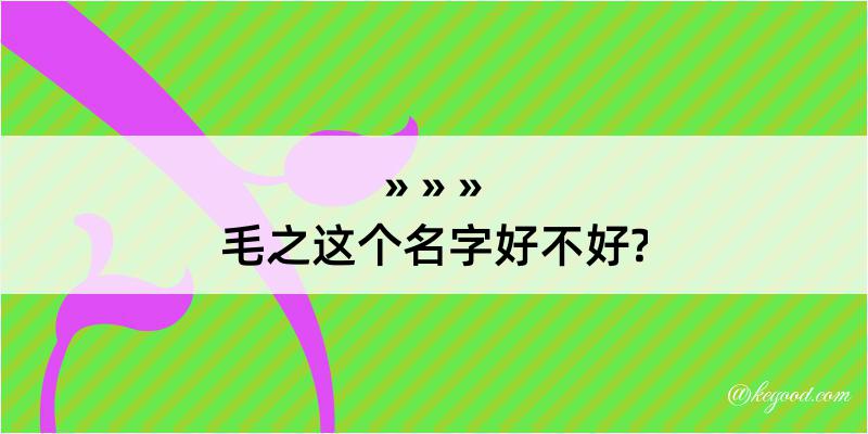 毛之这个名字好不好?