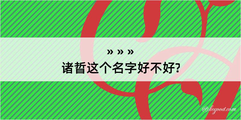 诸晢这个名字好不好?