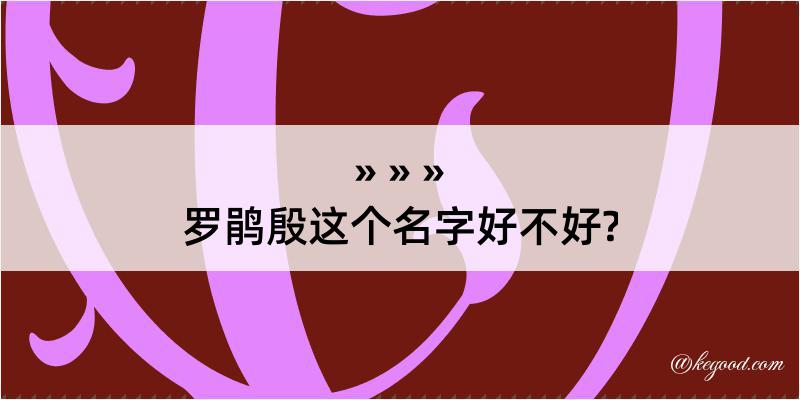 罗鹃殷这个名字好不好?