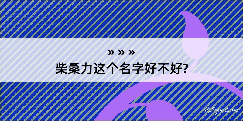 柴桑力这个名字好不好?