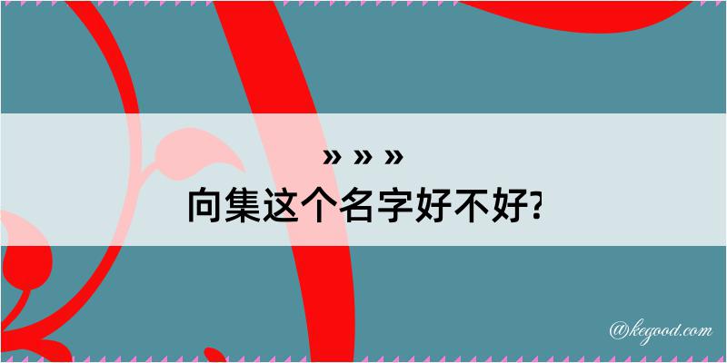 向集这个名字好不好?