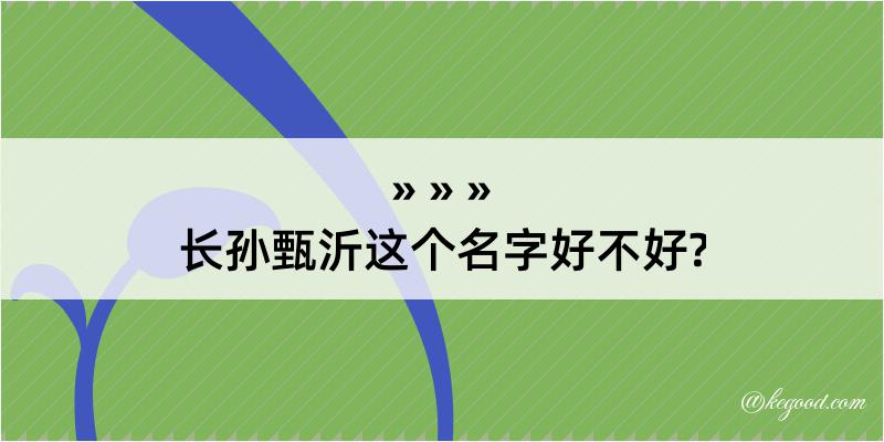 长孙甄沂这个名字好不好?