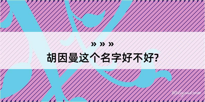 胡因曼这个名字好不好?