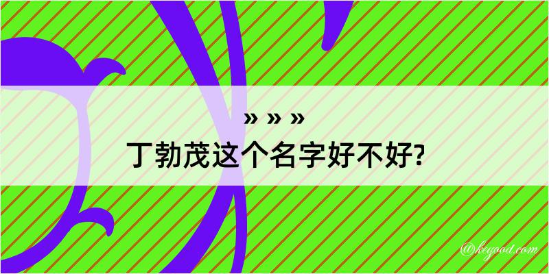 丁勃茂这个名字好不好?