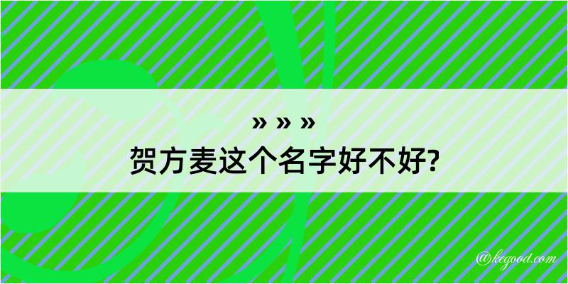 贺方麦这个名字好不好?