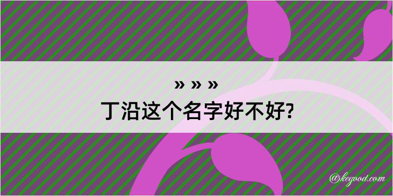 丁沿这个名字好不好?