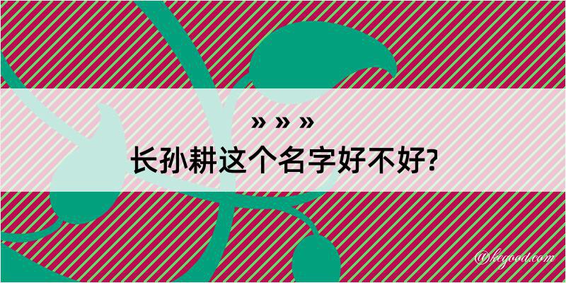 长孙耕这个名字好不好?