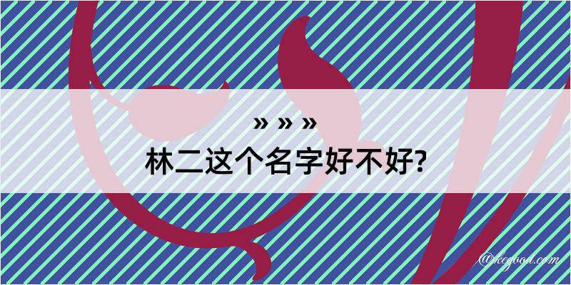 林二这个名字好不好?