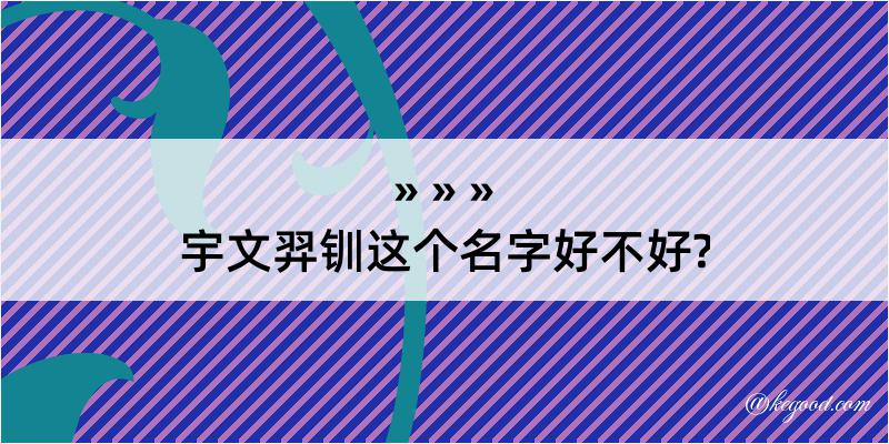 宇文羿钏这个名字好不好?