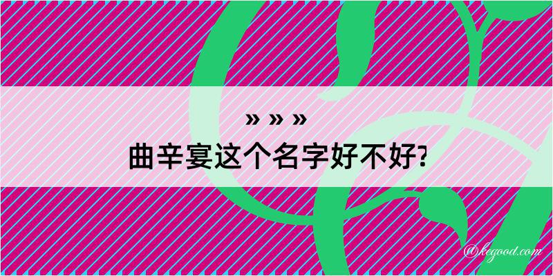 曲辛宴这个名字好不好?