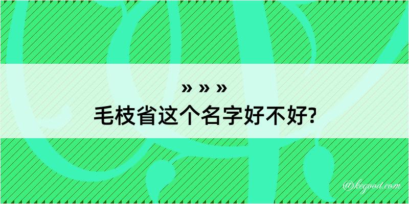 毛枝省这个名字好不好?