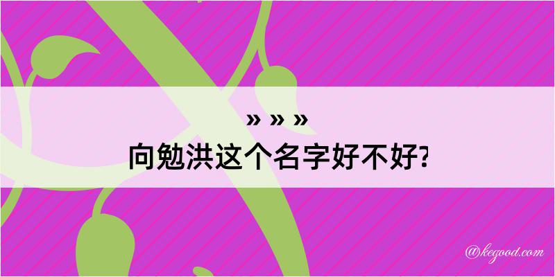 向勉洪这个名字好不好?