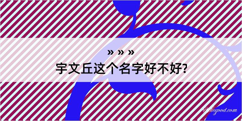 宇文丘这个名字好不好?