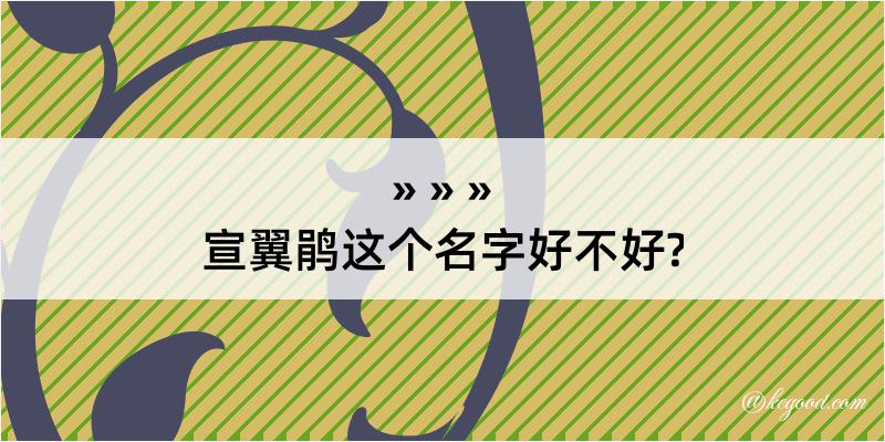 宣翼鹃这个名字好不好?