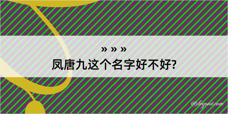 凤唐九这个名字好不好?