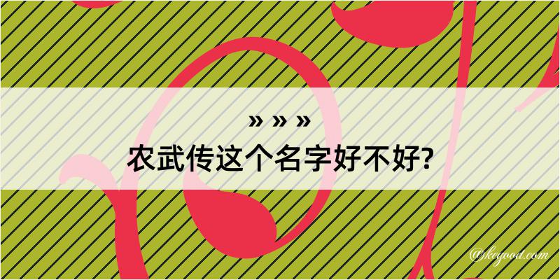 农武传这个名字好不好?