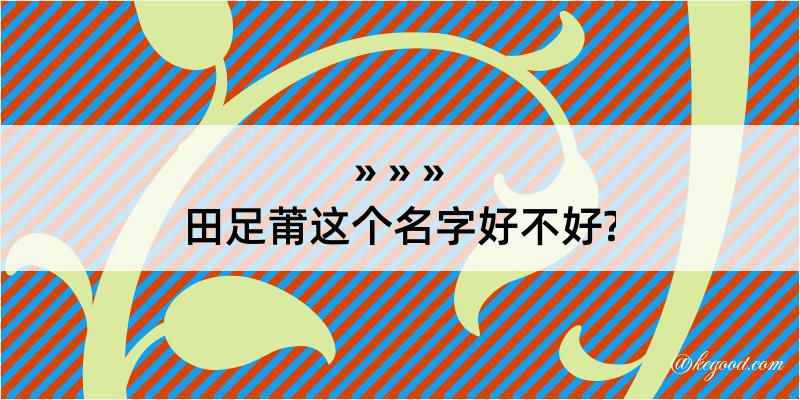 田足莆这个名字好不好?