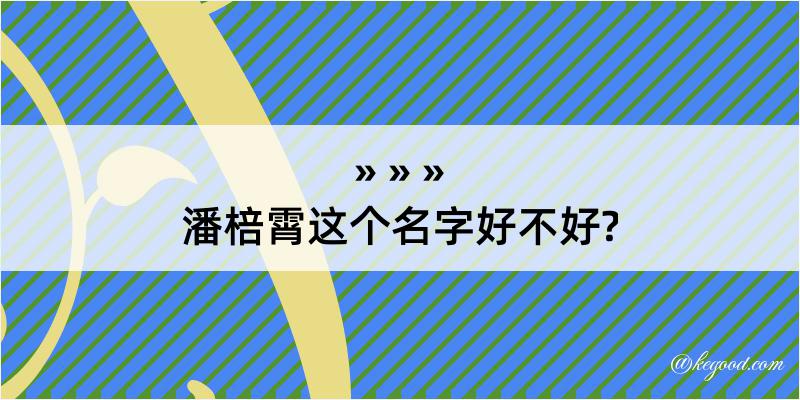 潘棓霄这个名字好不好?