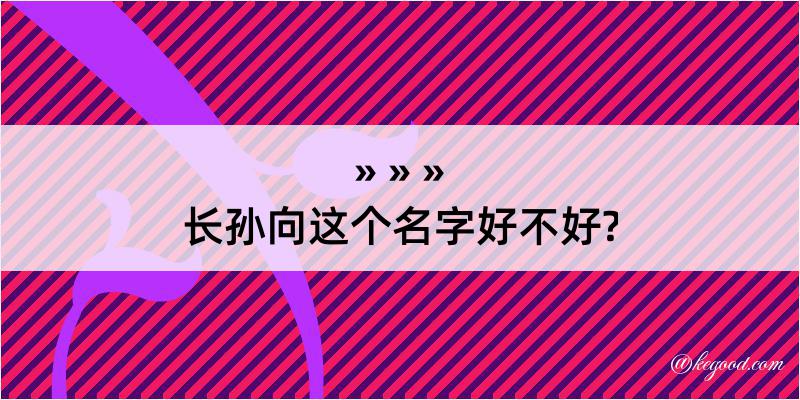 长孙向这个名字好不好?